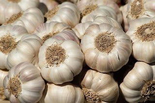 इम्यूनिटी बढ़ाने वाले खाद्य पदार्थ | Immunity booster foods in hindi इम्यूनिटी बढ़ाने वाले खाद्य पदार्थ | Immunity booster foods in hindi
