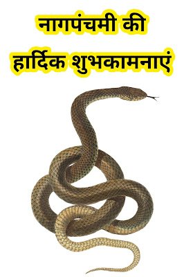 नागपंचमी वॉलपेपर और स्टेटस: अपने त्योहार को बनाएं और भी खास