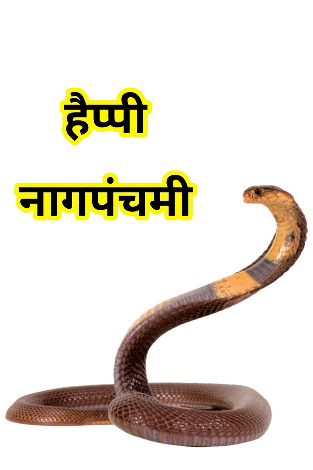 नागपंचमी वॉलपेपर और स्टेटस: अपने त्योहार को बनाएं और भी खास image 3