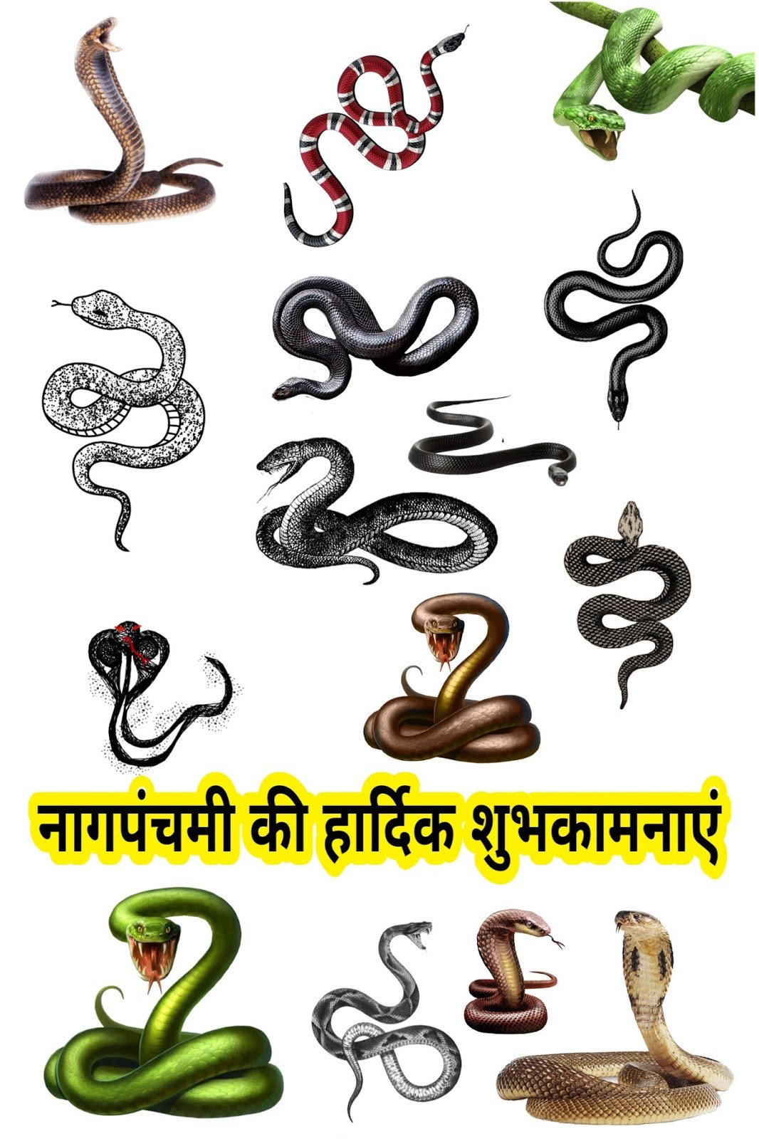 नागपंचमी वॉलपेपर और स्टेटस: अपने त्योहार को बनाएं और भी खास image 5