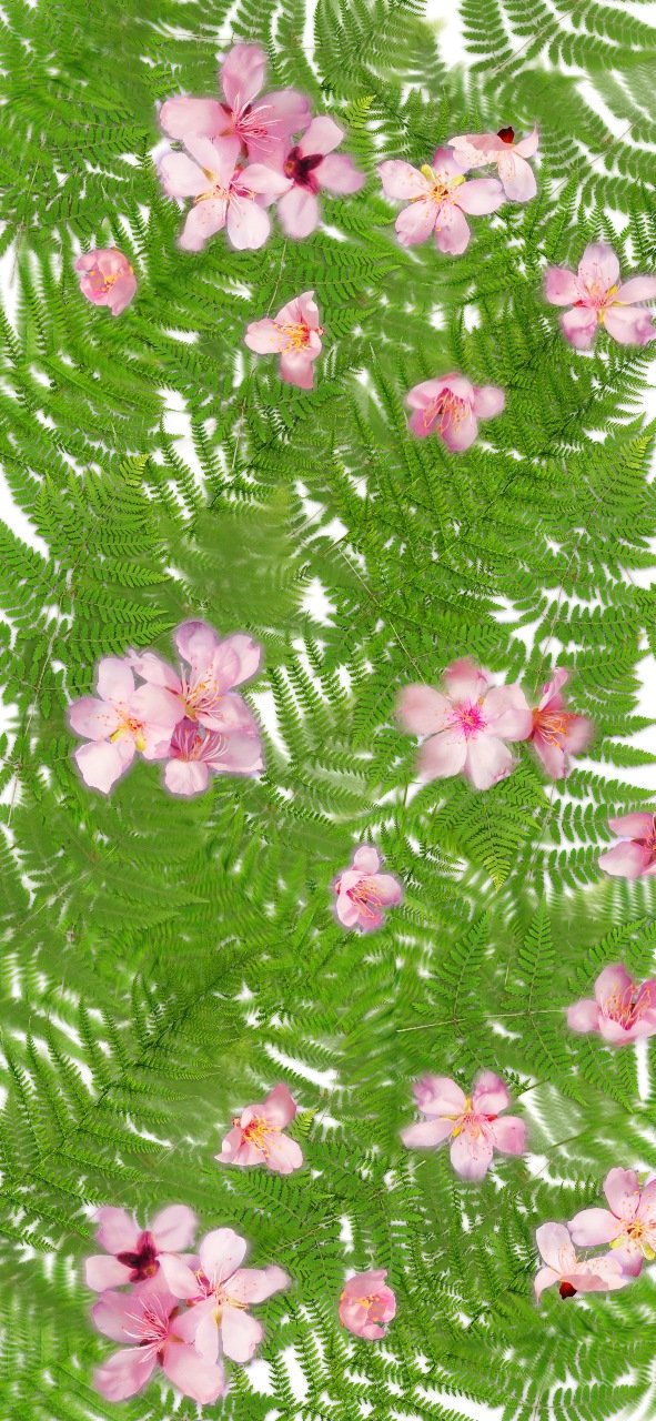 मोबाइल वॉलपेपर: अपने फोन को दें नई पहचान और अपने मूड को करें रिचार्ज | Mobile Wallpaper image 22