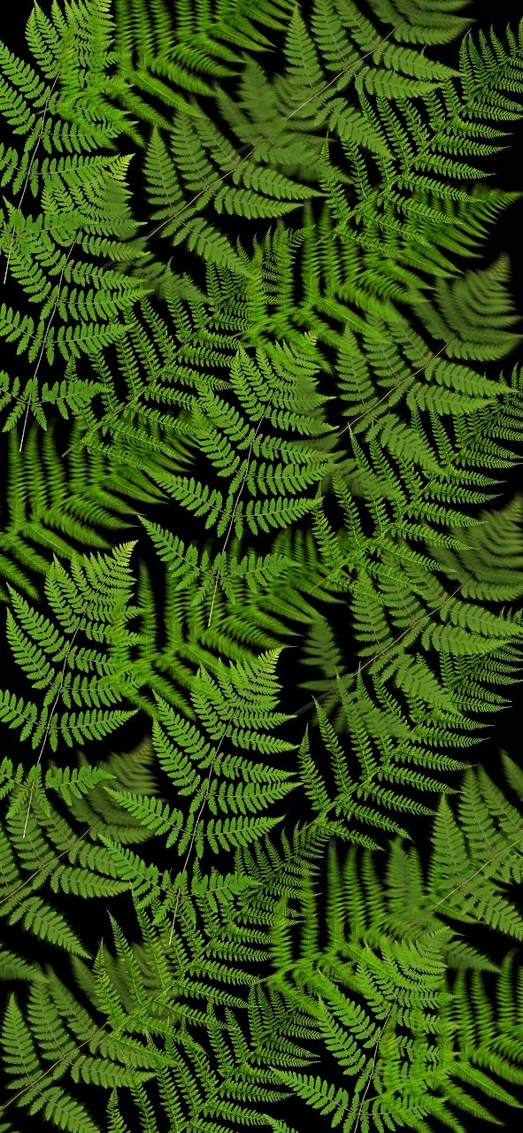 मोबाइल वॉलपेपर | Mobile Wallpaper