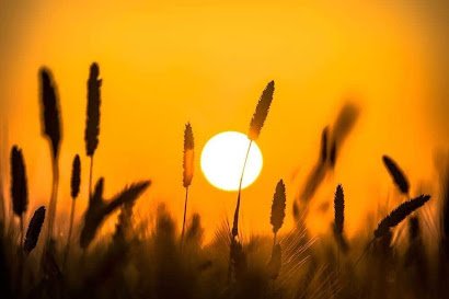 सुबह की कुछ अच्छी आदतें | Subah ki adaten