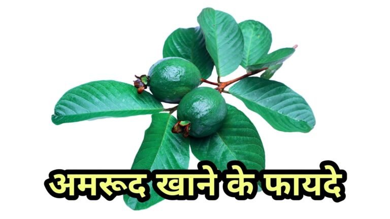 अमरूद के 10+ चमत्कारी लाभ: सेहत और स्वाद का बेजोड़ संगम, ज़रूर जानें।