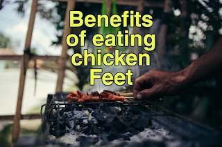 मुर्गे के पंजे खाने के फायदे | Benefits of eating chicken feet in hindi मुर्गे के पंजे खाने के फायदे | Benefits of eating chicken feet in hindi