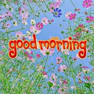 good-morning-photo-download