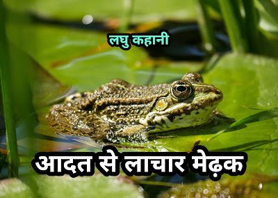 लघु कहानी – आदत से लाचार मेढ़क | laghu kahani