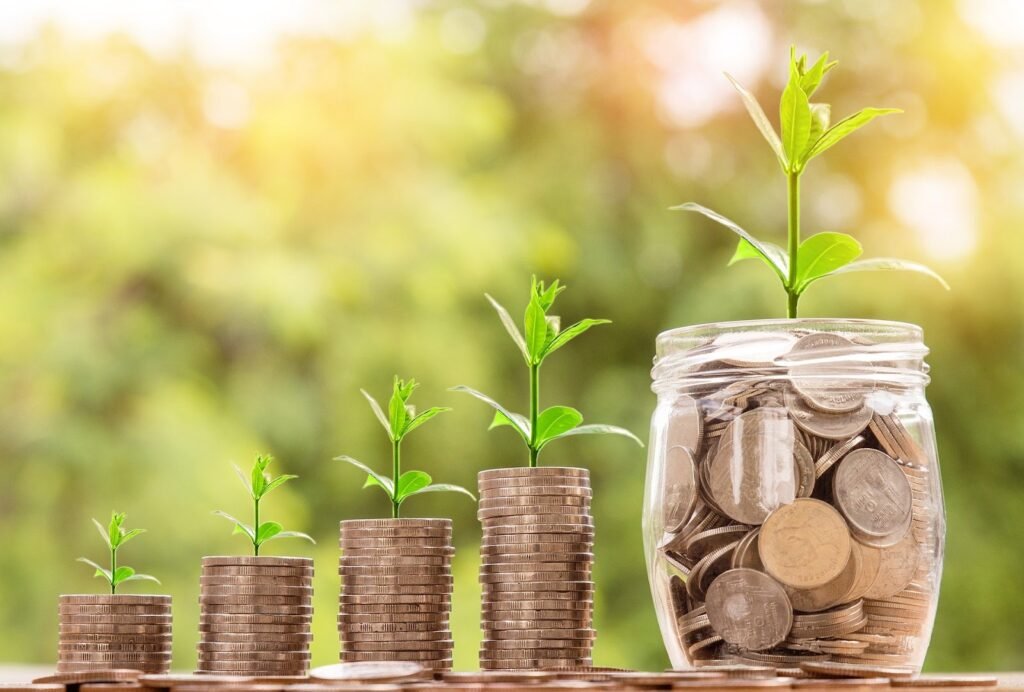 गांव में पैसे कमाने का आसान तरीका | gaon mein paise kamane ka tarika