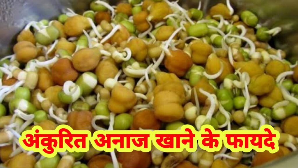 अंकुरित अनाज खाने से होने वाले फायदे | Ankurit anaj khane ke fayde