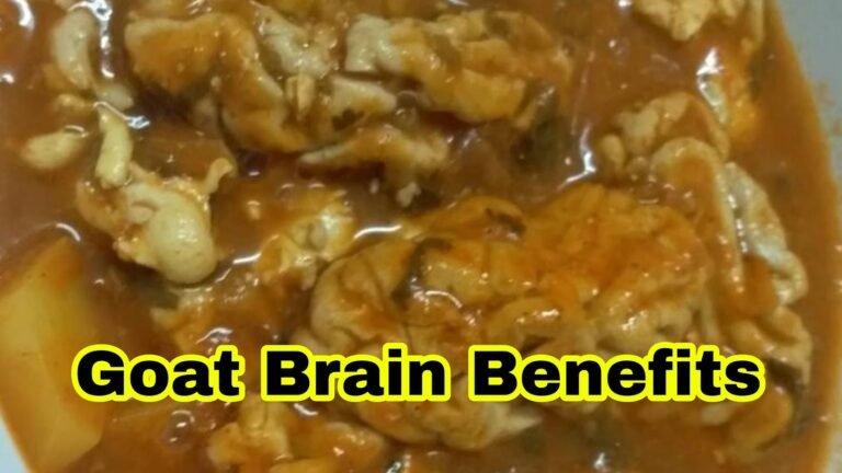 बकरे का भेजा खाने के फायदे | goat brain health benefits in hindi