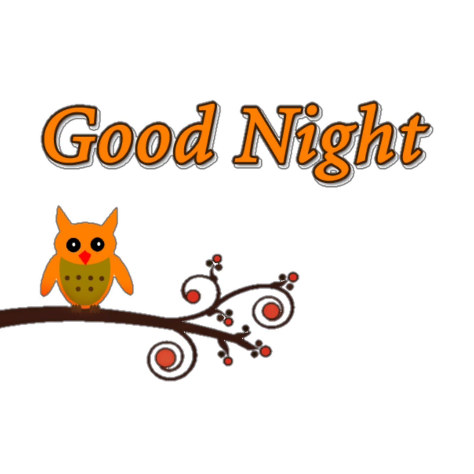 गुड नाईट फोटो | good night photo download गुड नाईट फोटो | good night photo download
