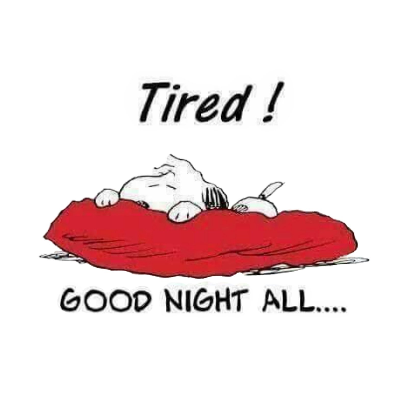 गुड नाईट फोटो | good night photo download गुड नाईट फोटो | good night photo download
