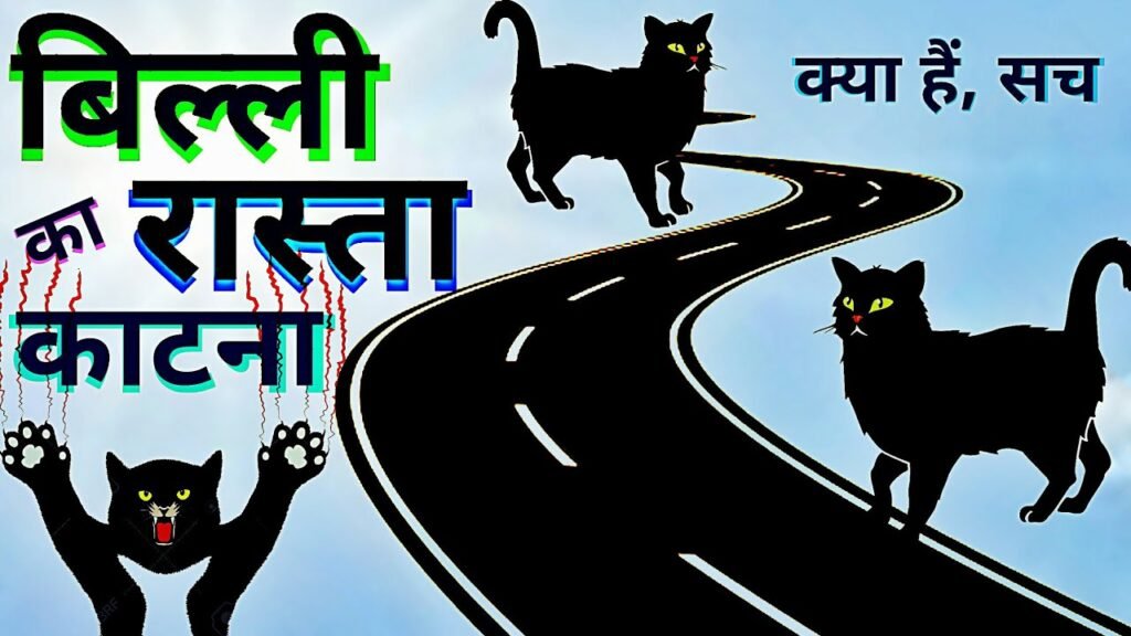 बिल्ली के रास्ता काटने का मतलब: शुभ या अशुभ? जानें वैज्ञानिक और सांस्कृतिक दृष्टिकोण