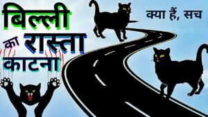 बिल्ली के रास्ता काटने का मतलब: शुभ या अशुभ? जानें …