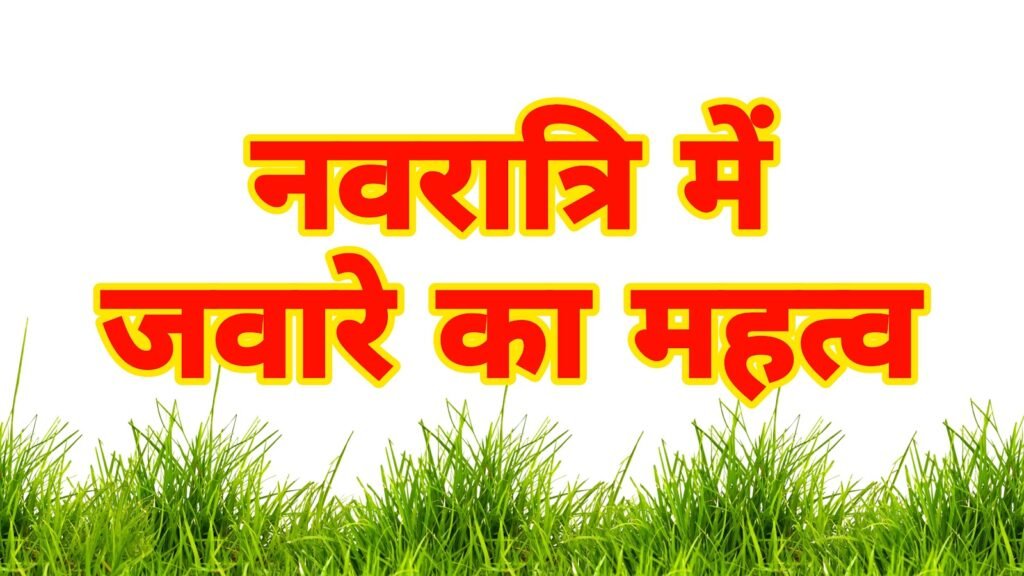नवरात्रि में जवारे का महत्व और क्यों बोते हैं जवारे | Navratri me jaware ka mahatva