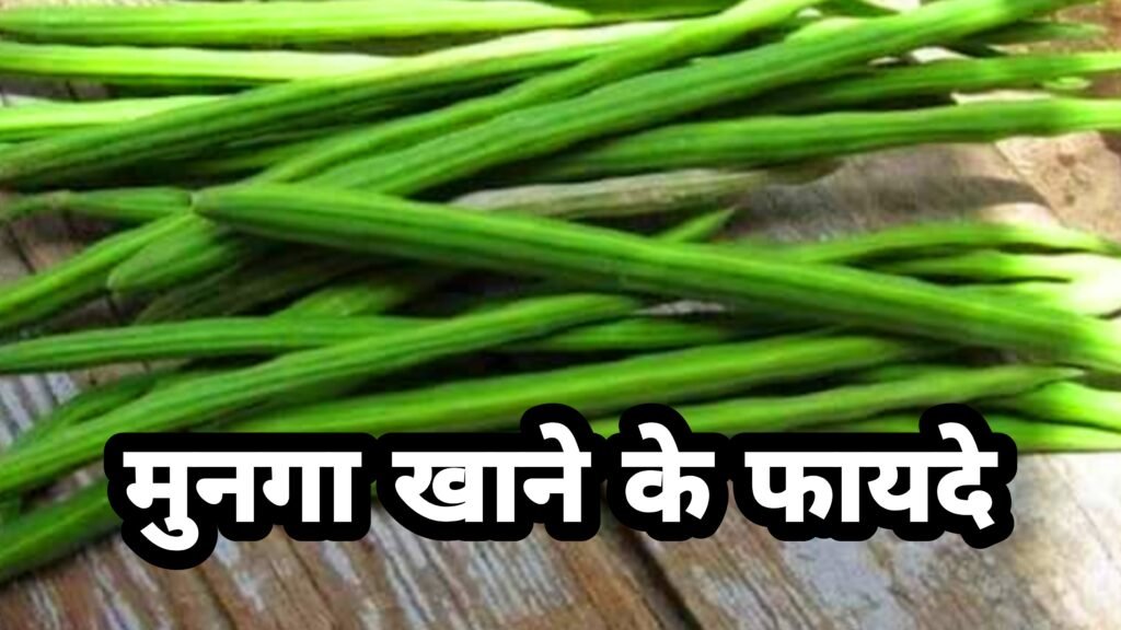 मुनगा खाने के 6 फायदे | Munga khane ke fayde in hindi