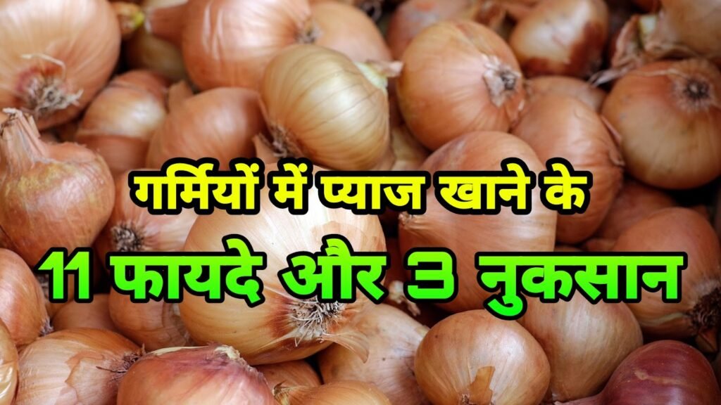 गर्मी में प्याज खाने के 11 फायदे और 3 नुकसान | Garmi me Pyaj khane ke Fayde aur Nuksaan