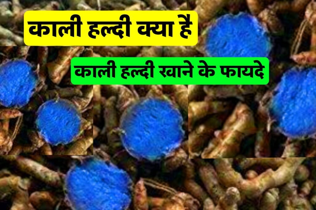 काली हल्दी क्या है | काली हल्दी के खाने 15 जबरदस्त फायदे | Black Turmeric Benefits for skin and Health