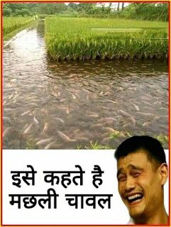 Jokes meme images in hindi | Funny Jokes In Hindi Images | Joke image gallery | whatsapp image joke | funny images for whatsapp messages