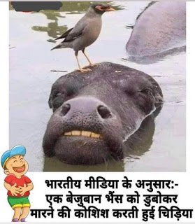Funny Jokes in Hindi images - Jokes - Meme - 2 line Shayari - Funny