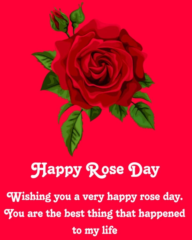 Happy Rose Day – wishes – images – photos – wallpapers