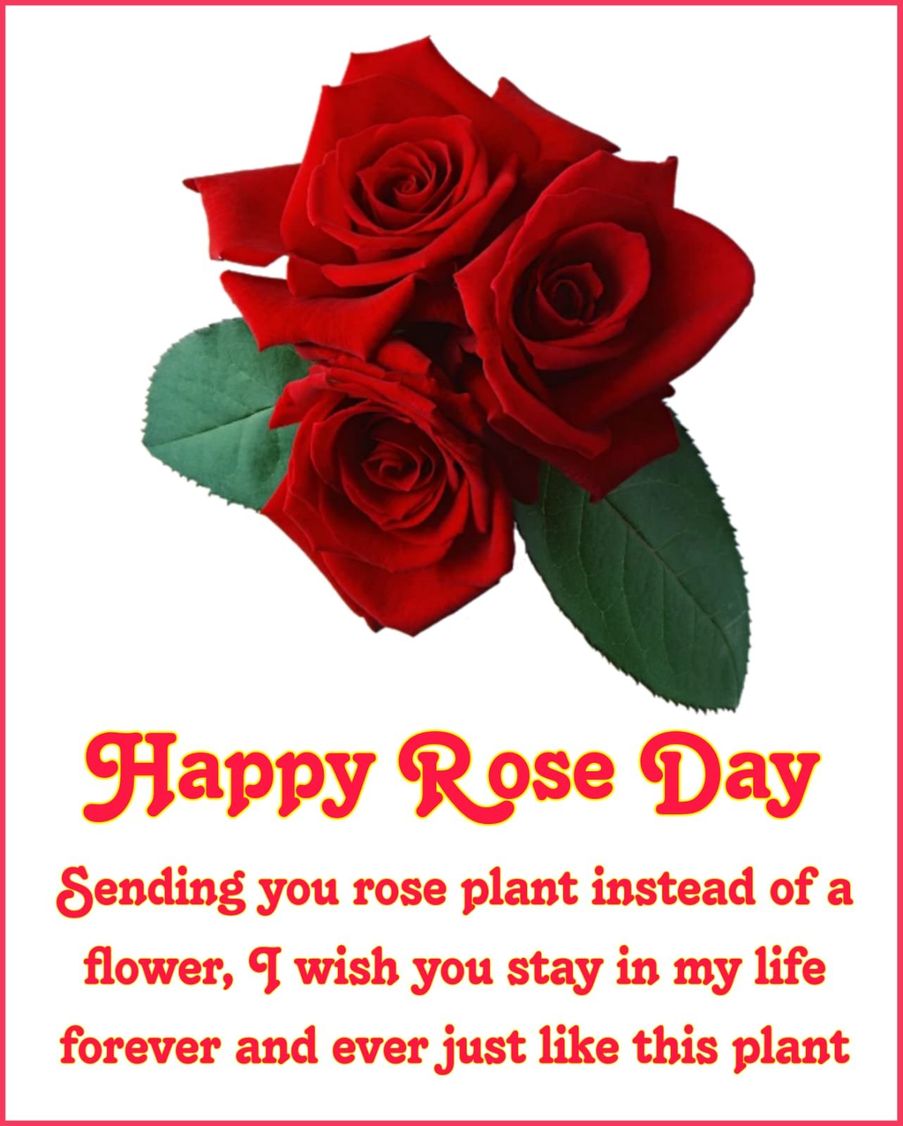 Happy Rose Day wishes images photos wallpapers
