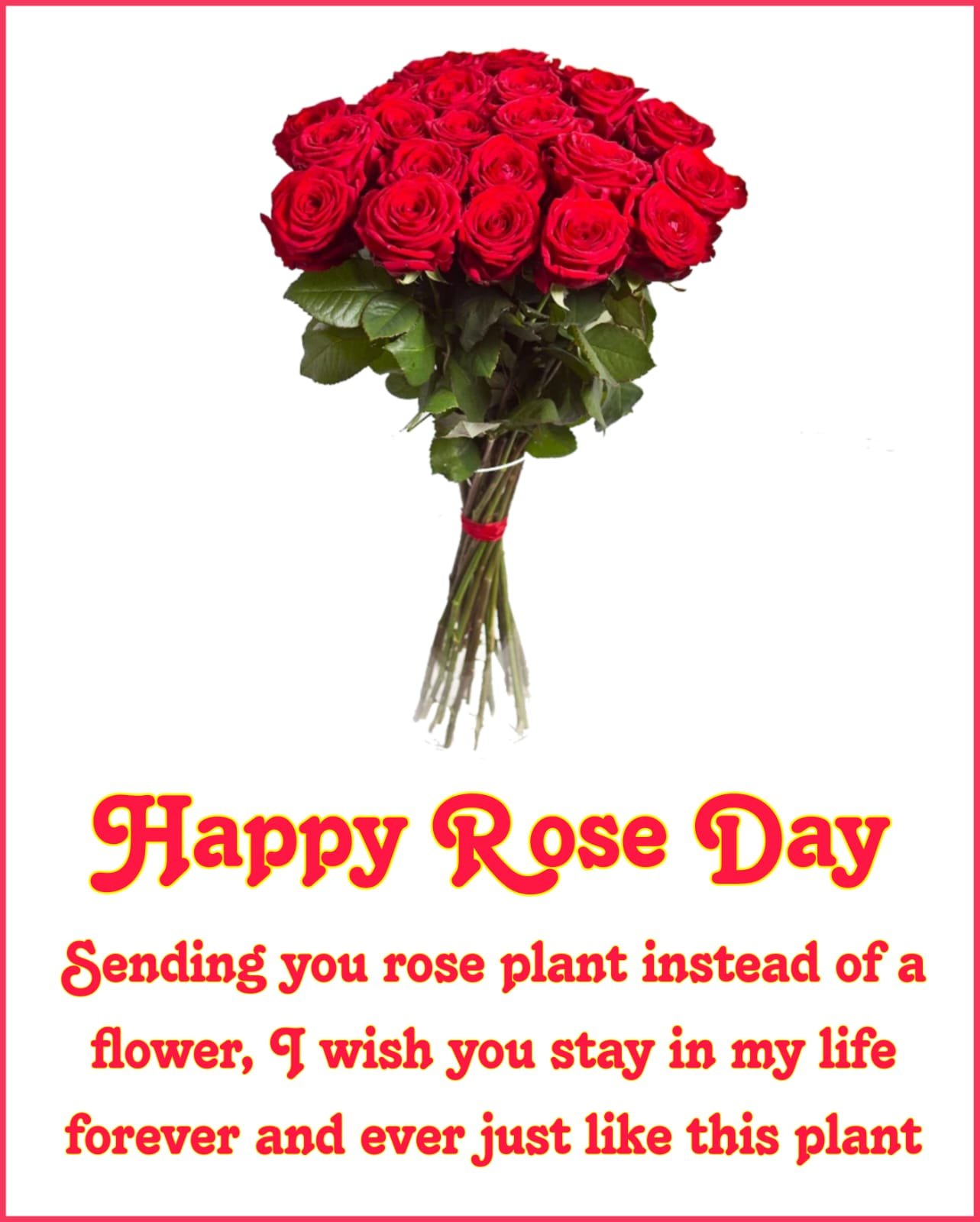 Happy Rose Day wishes images photos wallpapers