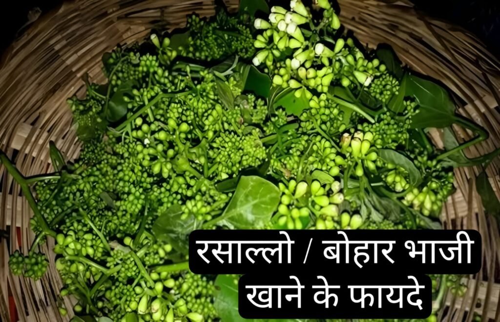 रसल्लो / बोहार भाजी खाने के 6 फायदे और नुकसान | Rasallo Bohar Bhaji khane ke fayde nuksan
