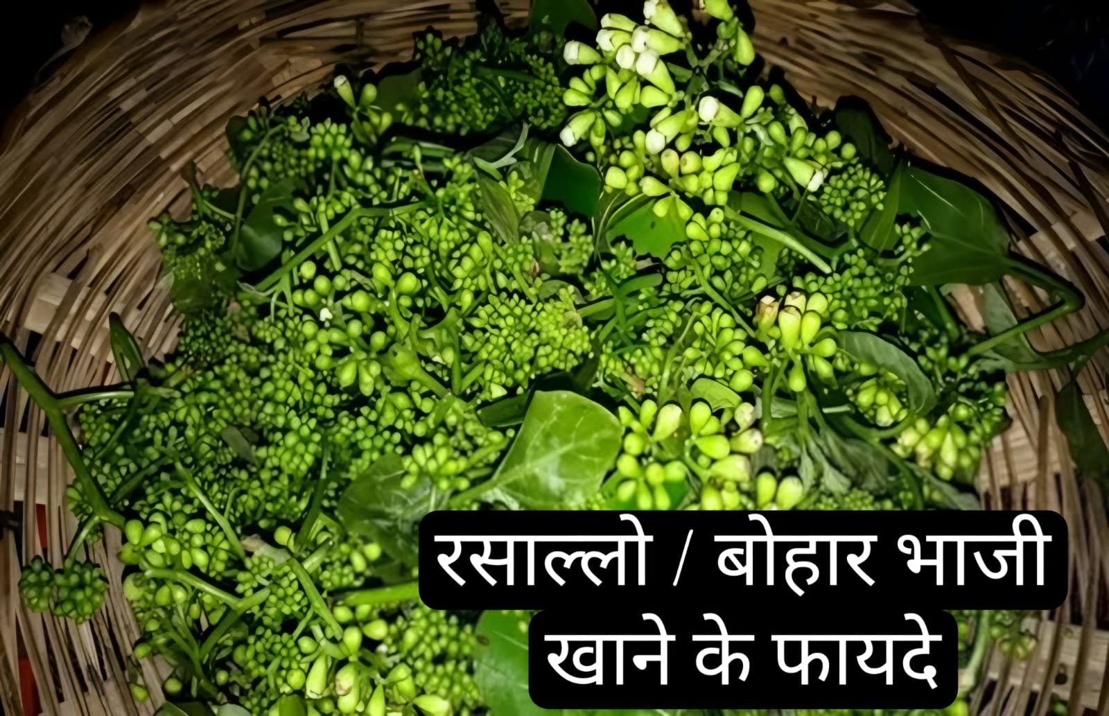 रसल्लो / बोहार भाजी - Rasallo Bohar Bhaji