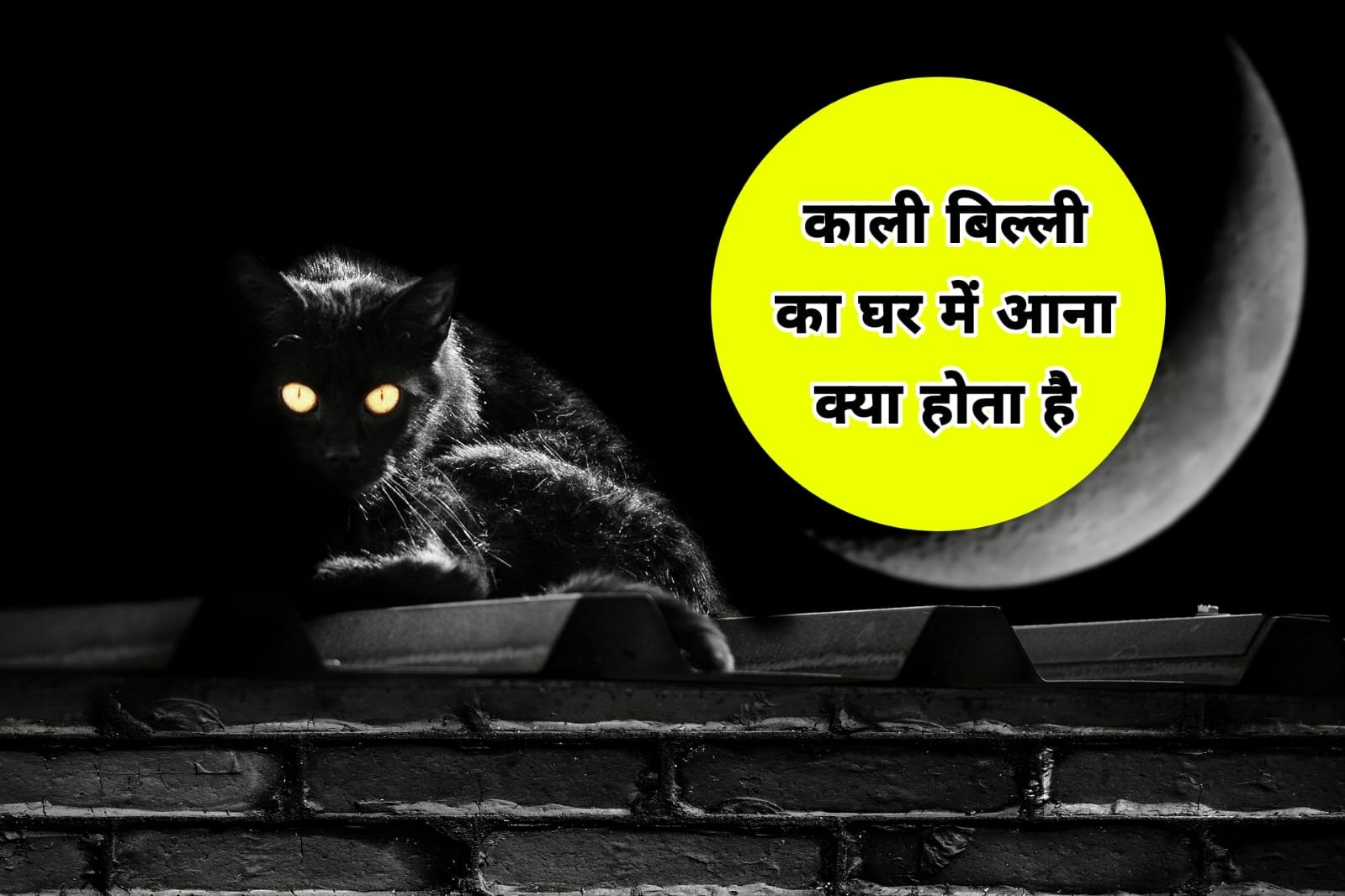 घर में काली बिल्ली का आना शुभ है या अशुभ | Kali Billi ka Ghar me aana shubh ya ashubh