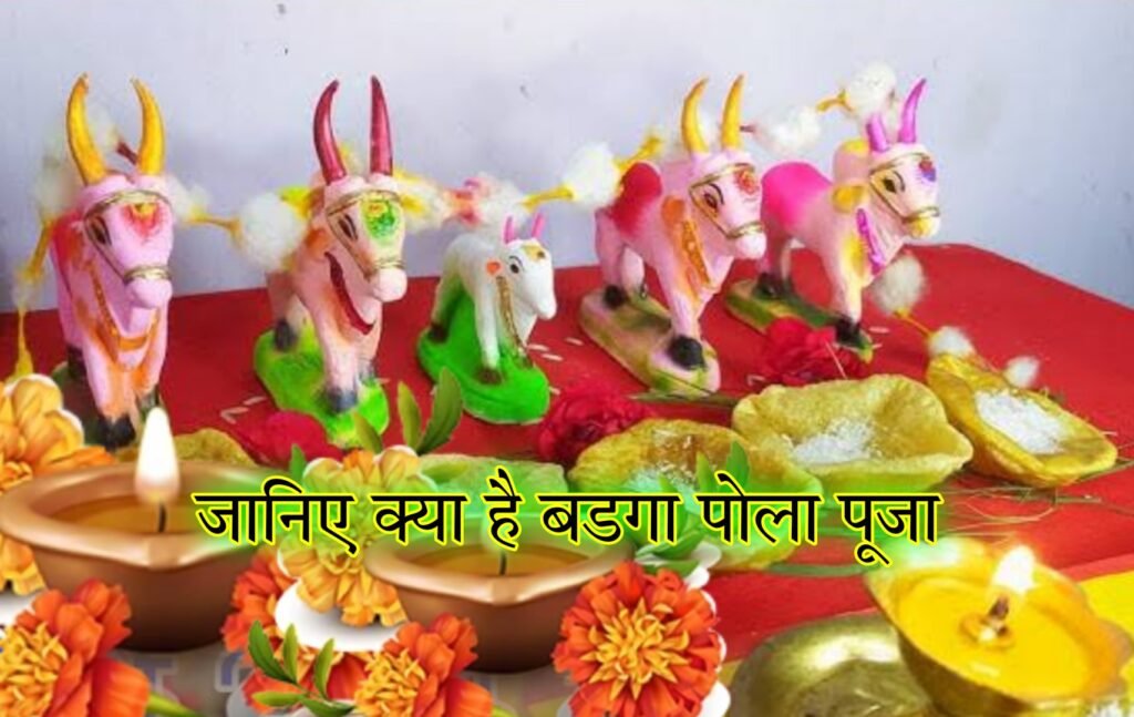 Badga Pola Festival | बडगा पोला पूजा क्यों और कैसे की जाती है जानिए इसका मतलब
