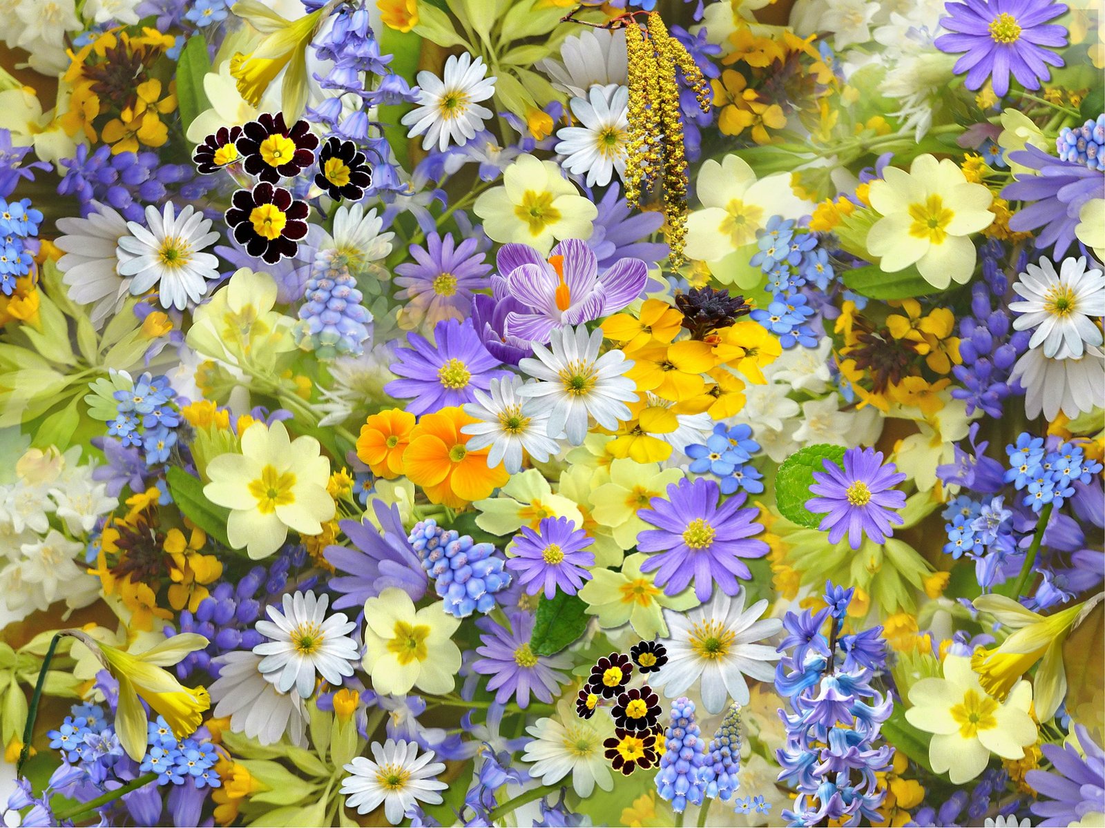 बसंत ऋतु की प्राकृतिक सुंदरता Spring Season beauty