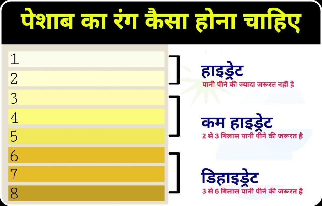 Urine Colour Chart in Hindi (HD Image) | पेशाब का रंग कैसा होना चाहिए?