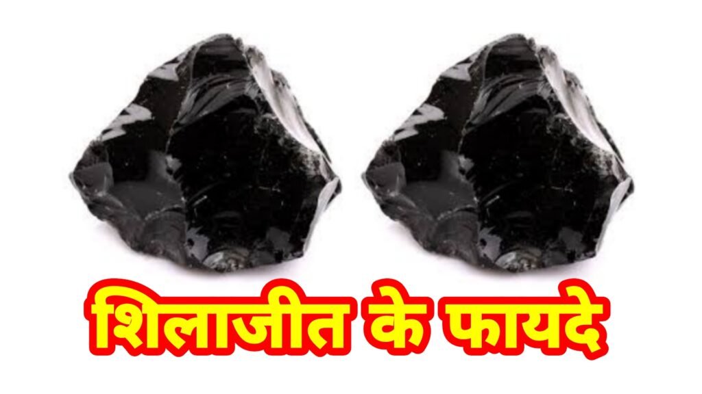 शिलाजीत के फायदे और नुकसान: संपूर्ण जानकारी और सही उपयोग का तरीका – Vhoriginal.com