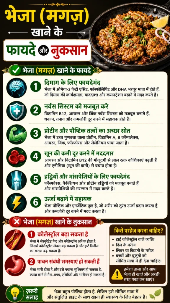 भेजा (मगज़) खाने के फायदे और नुकसान: क्या यह सेहत के लिए सही है?