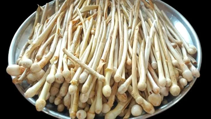 देशी मशरूम के फायदे: क्या मर्द इसे खाकर अपनी ताकत बढ़ा सकते हैं?