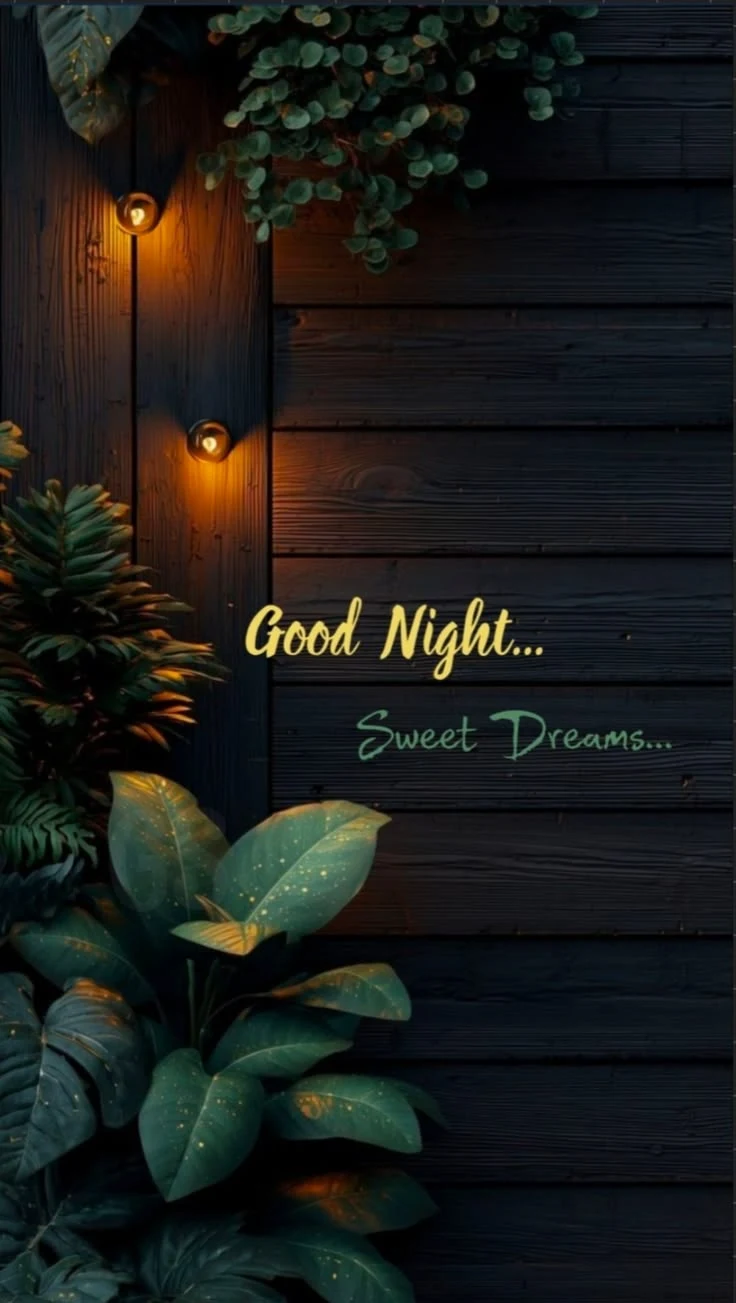 Good Night Images