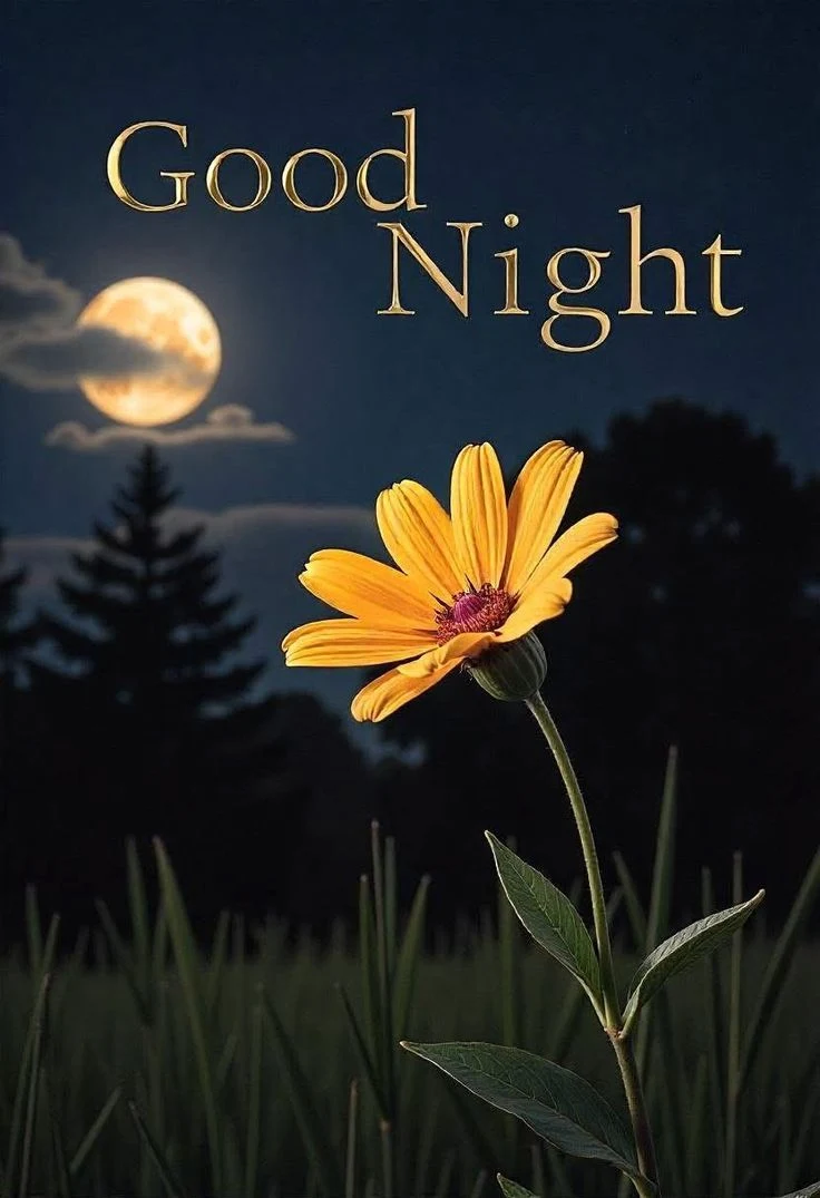 Good Night Images