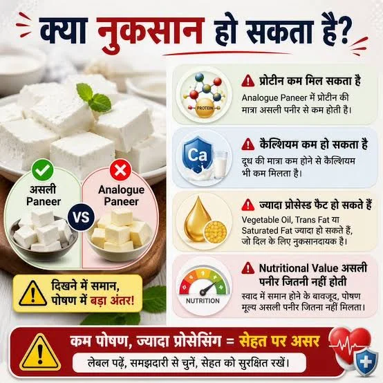 एनालॉग पनीर