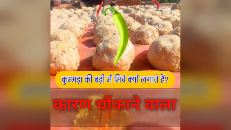 कुम्भड़ा की बड़ी में हरी मिर्च क्यों लगाते हैं? | Badi me Mirchi kyon lagate hain