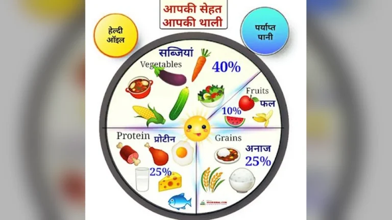 healthy plate model hindi balanced diet chart indian food plate