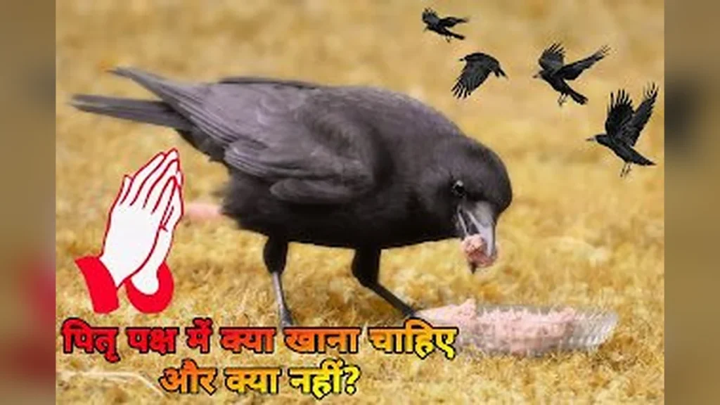 पितृपक्ष में क्या खाना चाहिए और क्या नहीं: भोजन के नियम और धार्मिक महत्व