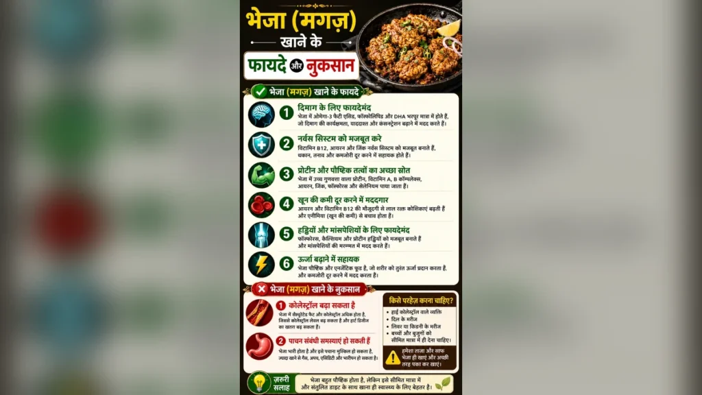 भेजा (मगज़) खाने के फायदे और नुकसान: क्या यह सेहत के लिए सही है?