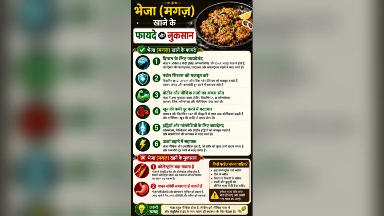 भेजा (मगज़) खाने के स्वास्थ्य लाभ और सावधानियों की पूरी जानकारी।