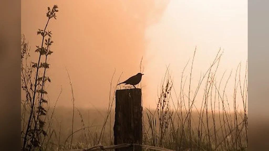 आज की आदतें — कल का अंदाज़ा
