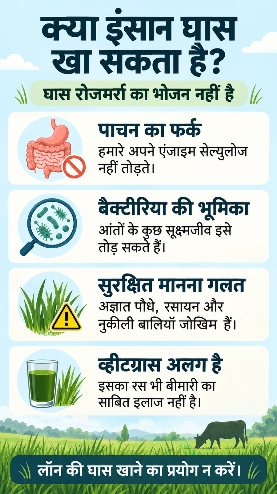 Hindi information poster about human grass digestion, gut microbes and wheatgrass precautions