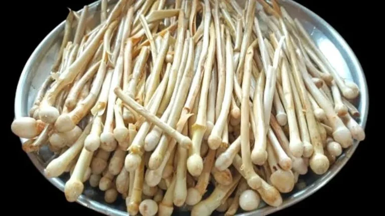 देशी मशरूम