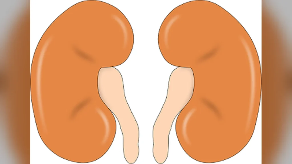 kidney theft urban legend India