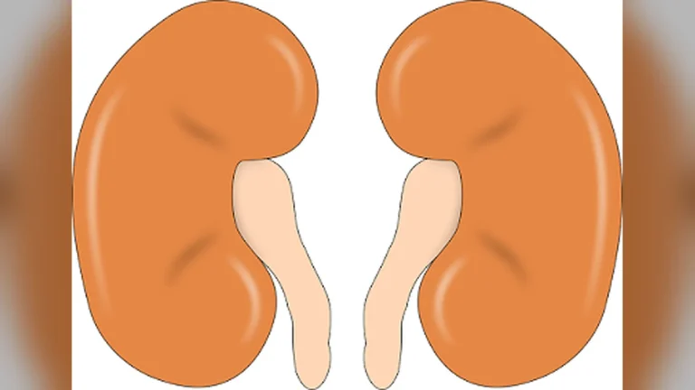 kidney theft urban legend India