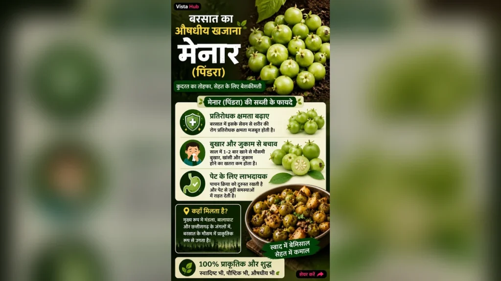 मेनहर (पिंडरा) सब्जी के फायदे: बरसात की इस जंगली सब्जी का जादू